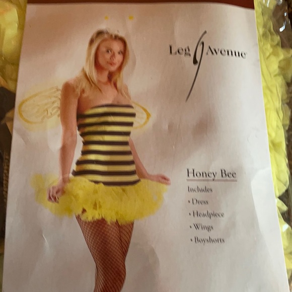 Honey Bee adult costume